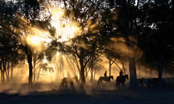 Horse riding country chic wedding Tuscany